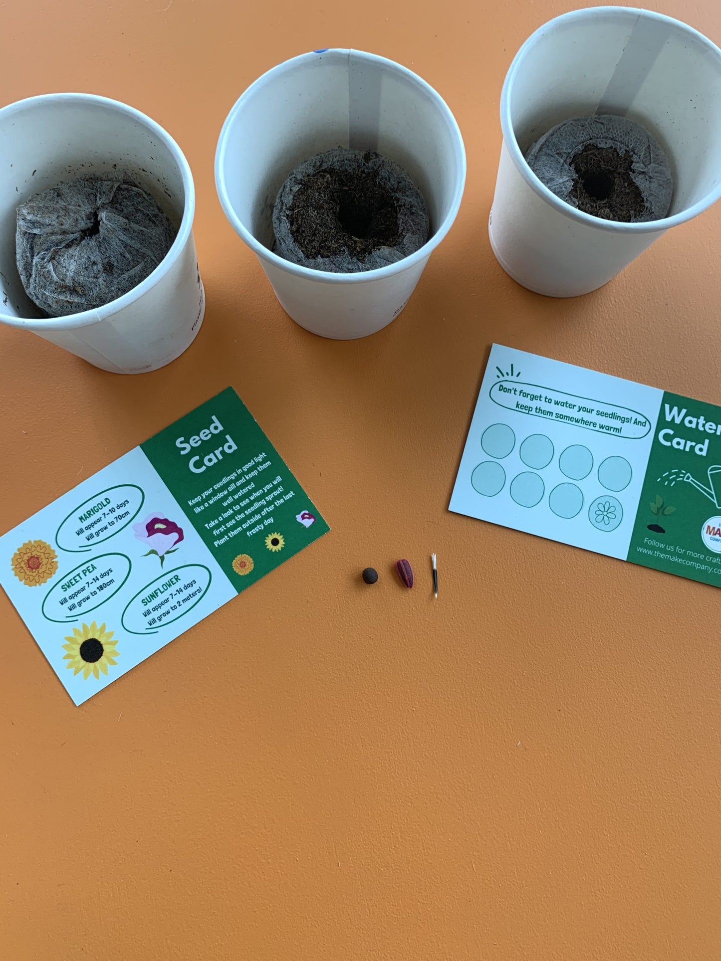 Flower Box Craft kit