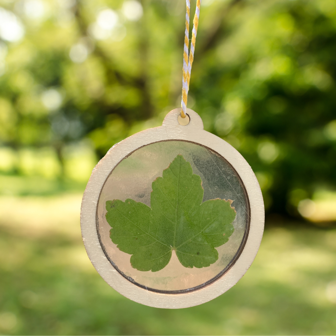 Nature Scavenger Box