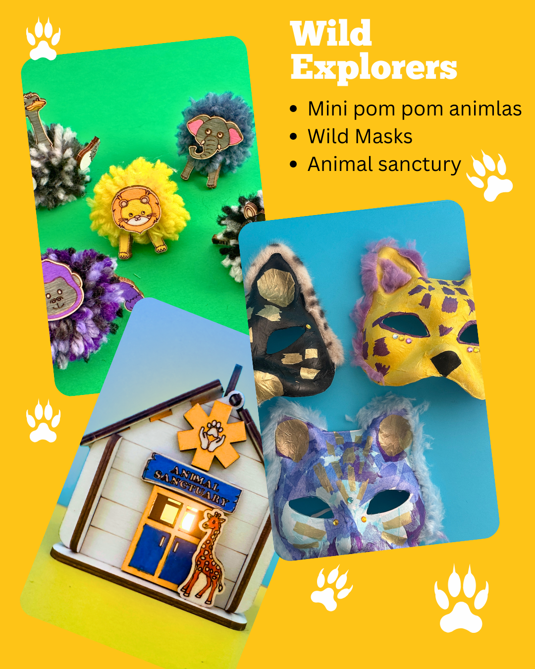 Wild Explorers Craft & Play Discovery Box