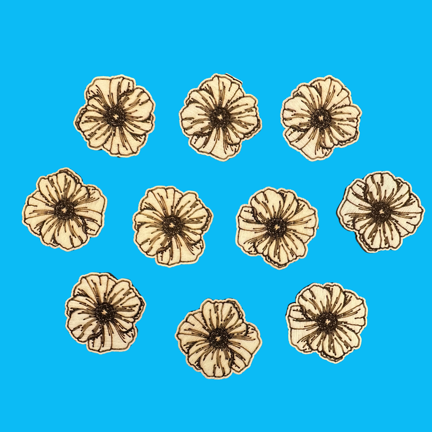Set of 10 - Wood Poppies