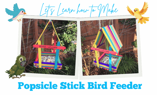 Let’s Make a Popsicle Stick Bird Feeder!