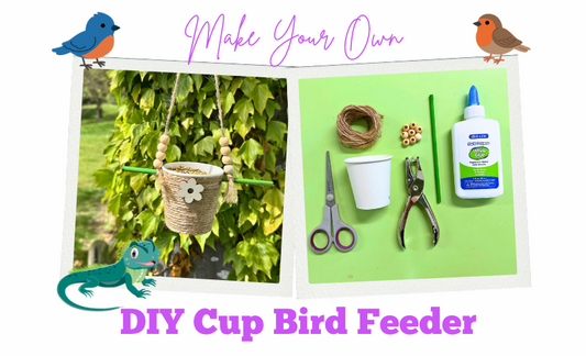 DIY Cup Bird Feeder