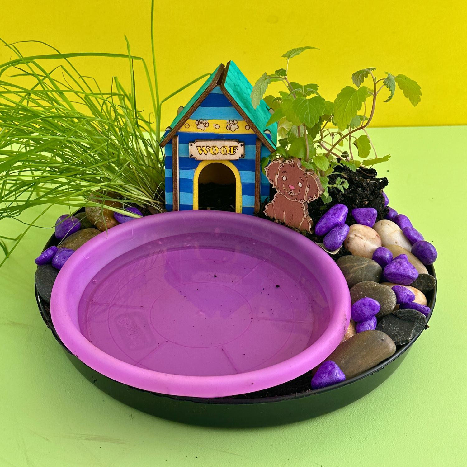 Pet Drinking Fountain Terrarium