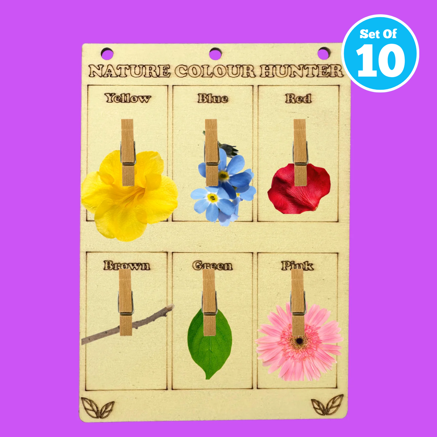 Set of 10 - Nature Colour Hunter