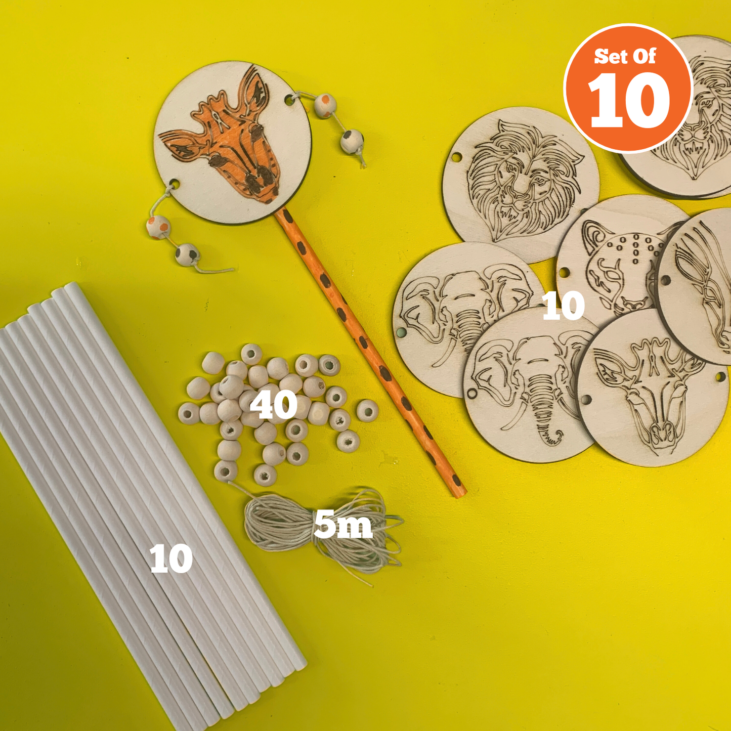 Set of 10 - Animal Spin Drum