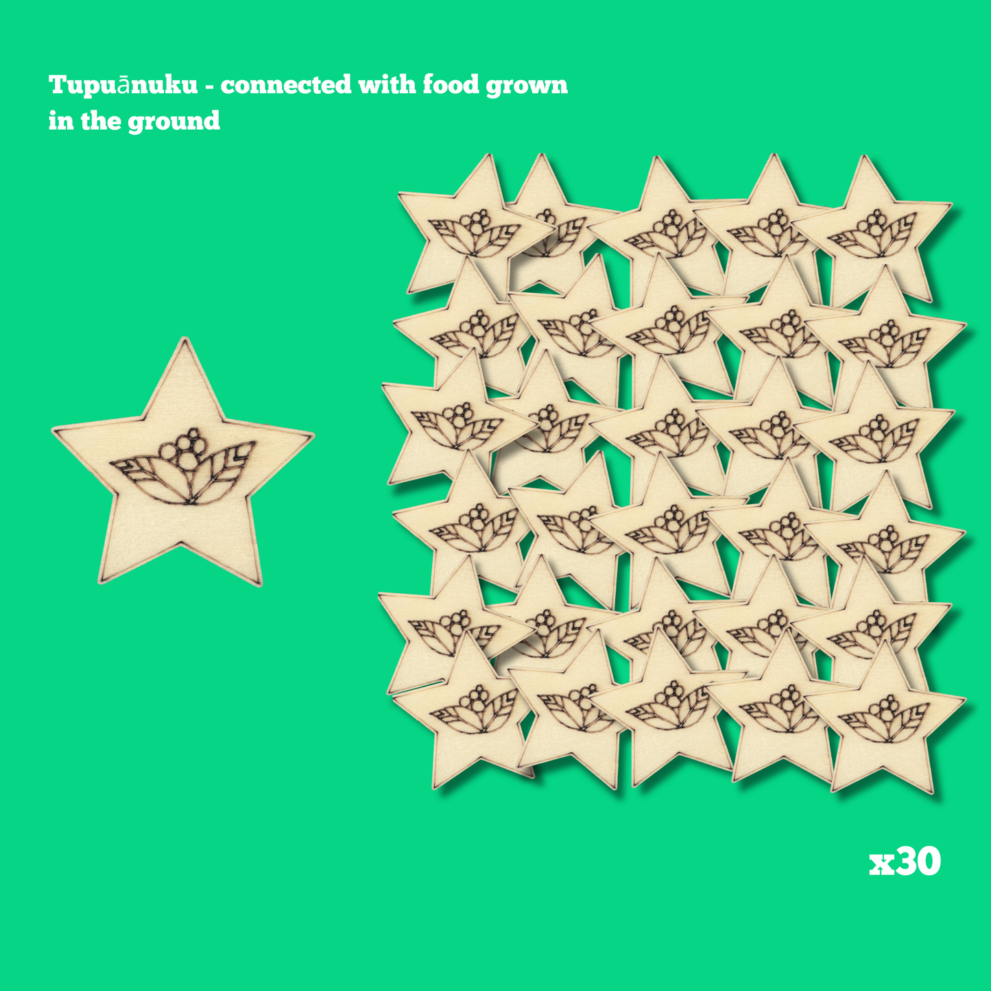 Mini Individual Matariki Star Packs