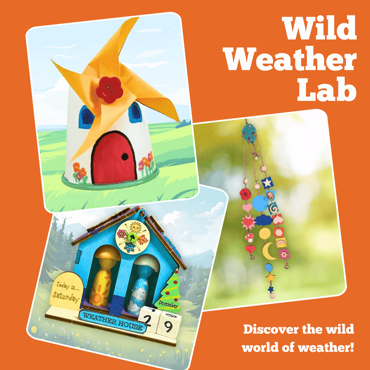 Wild Weather Lab Full Day Activity Pack