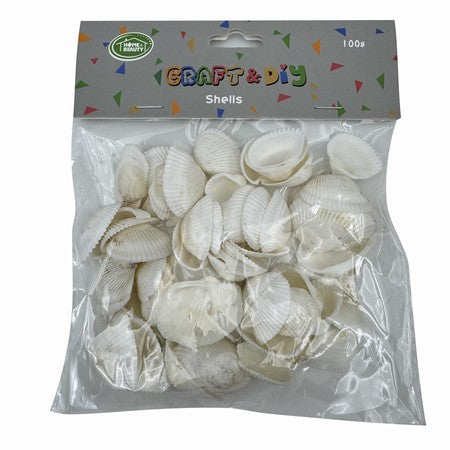 Craft Seashells