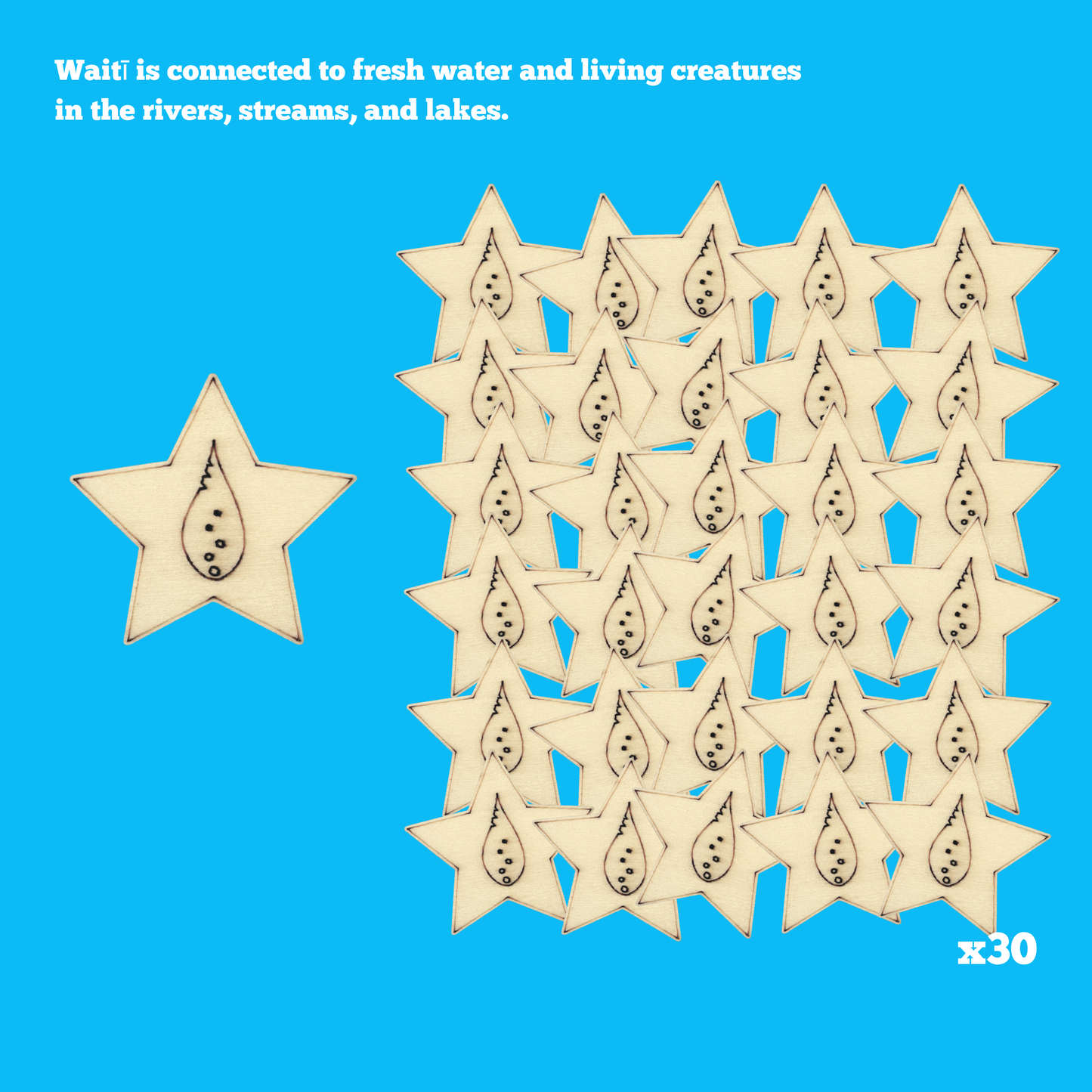 Mini Individual Matariki Star Packs