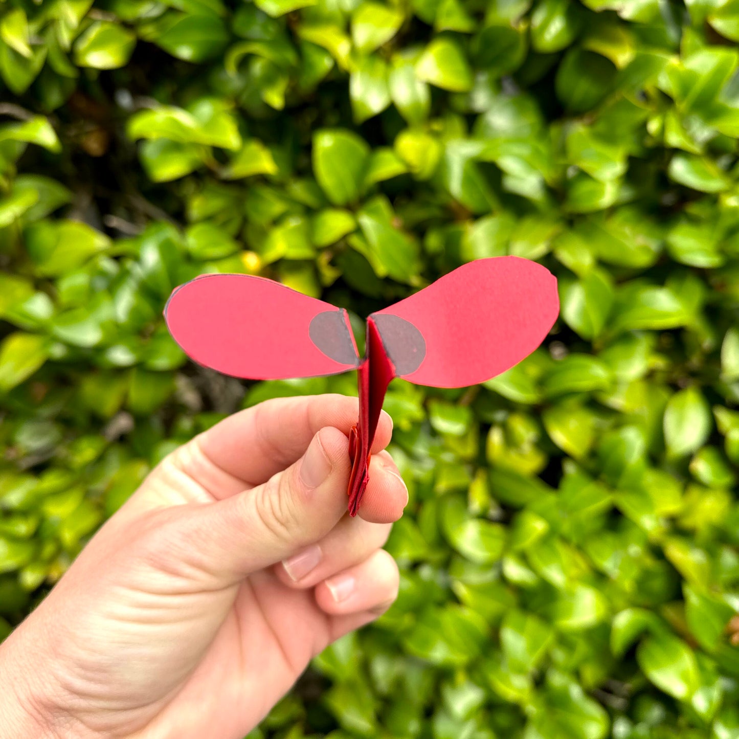 Spinning Poppies Free Printable