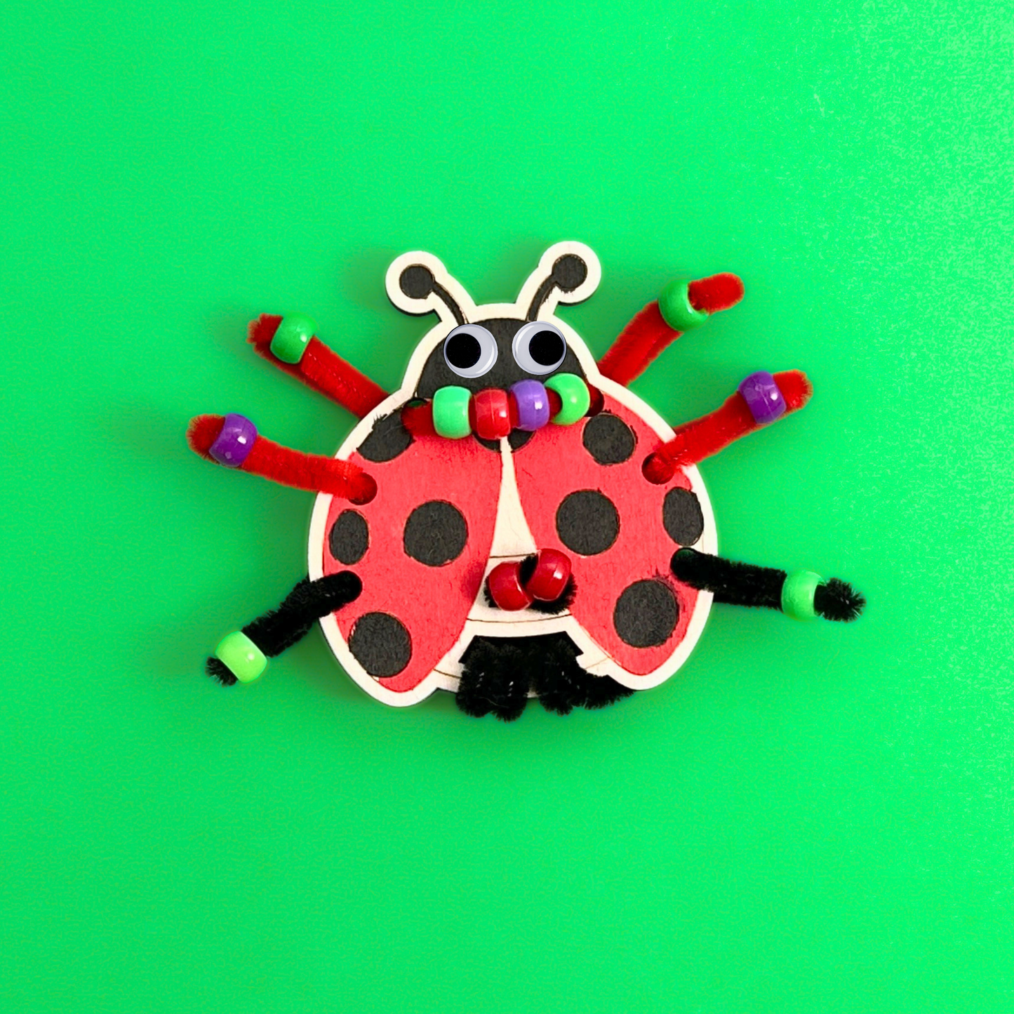 Set of 10 - NZ Critter Bugs