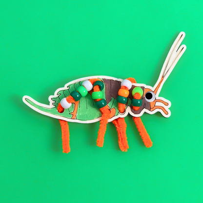 Set of 10 - NZ Critter Bugs