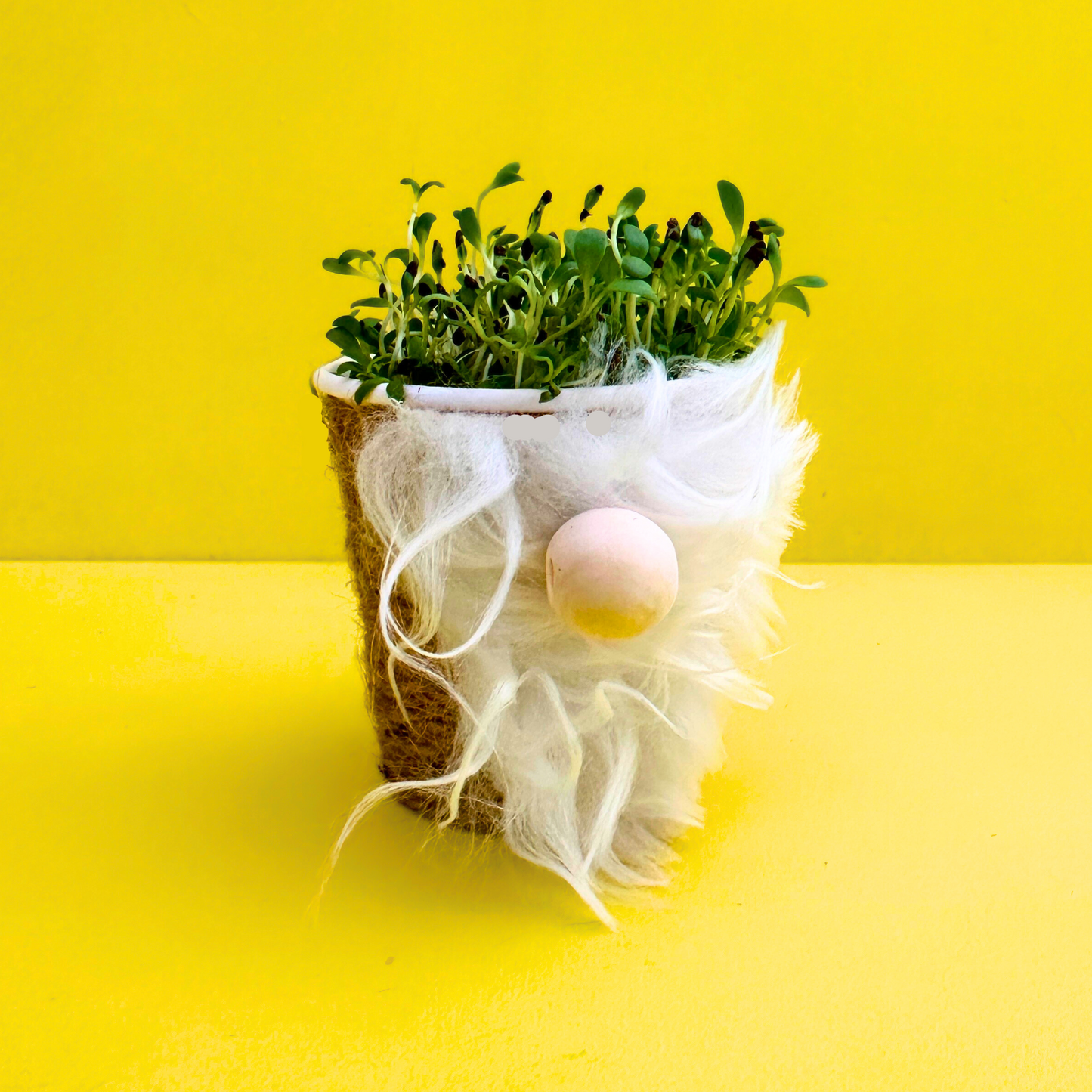 Gnome Grown Craft & Play Discovery Box