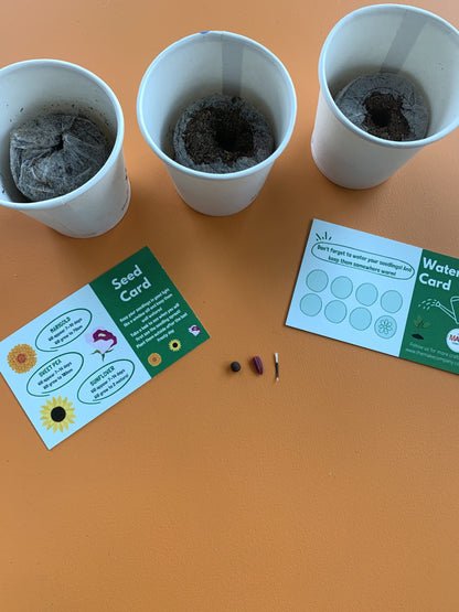 Flower Box Craft kit