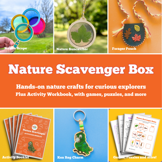 Nature Scavenger Box