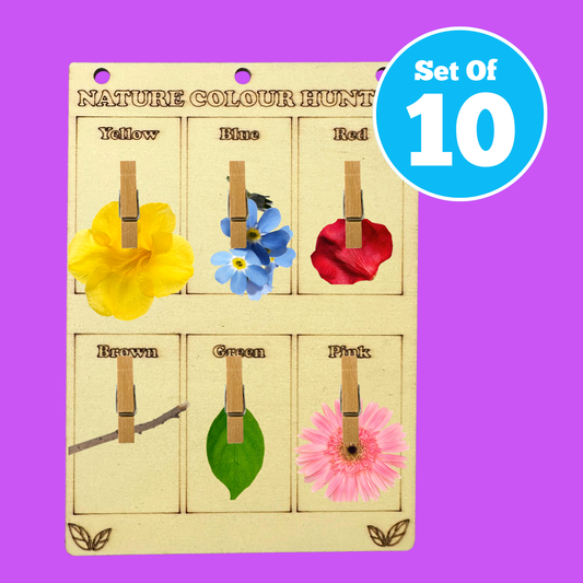 Set of 10 - Nature Colour Hunter