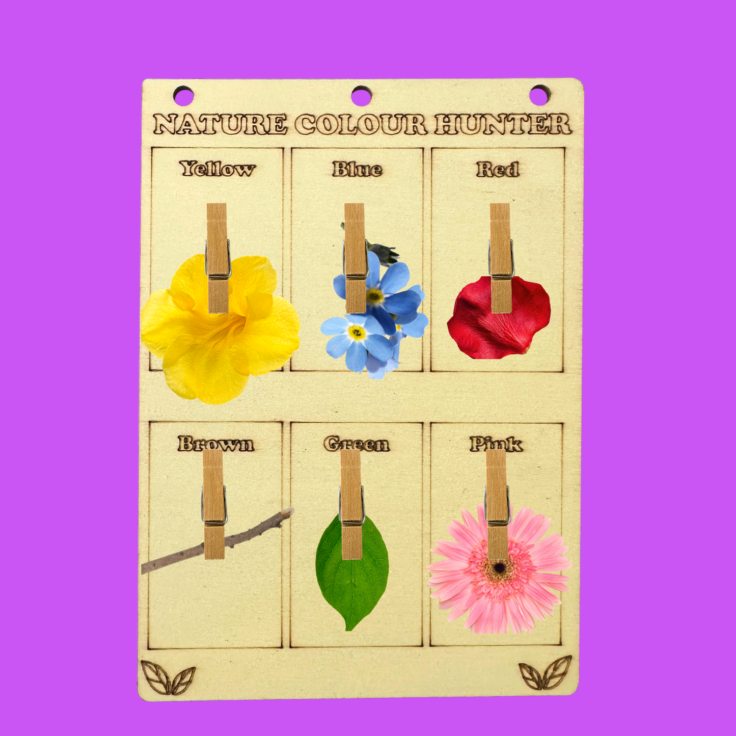 Set of 10 - Nature Colour Hunter