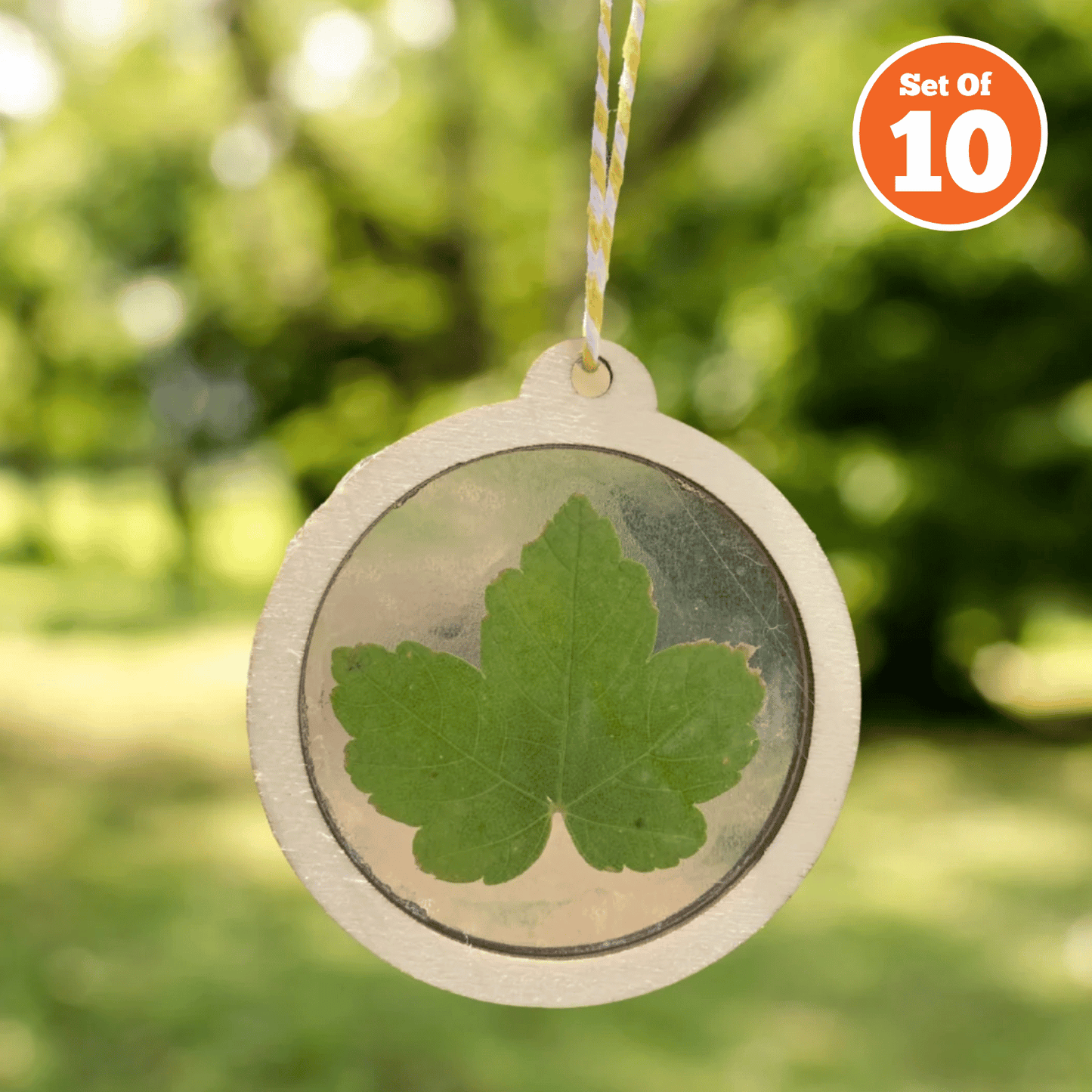 Nature Sun Catcher