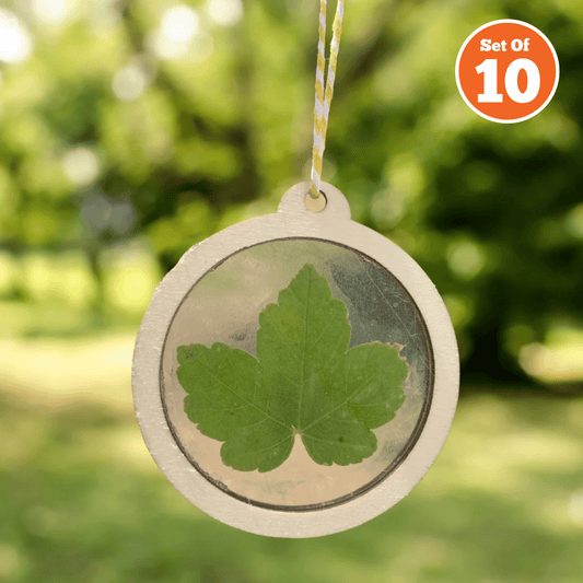 Nature Sun Catcher