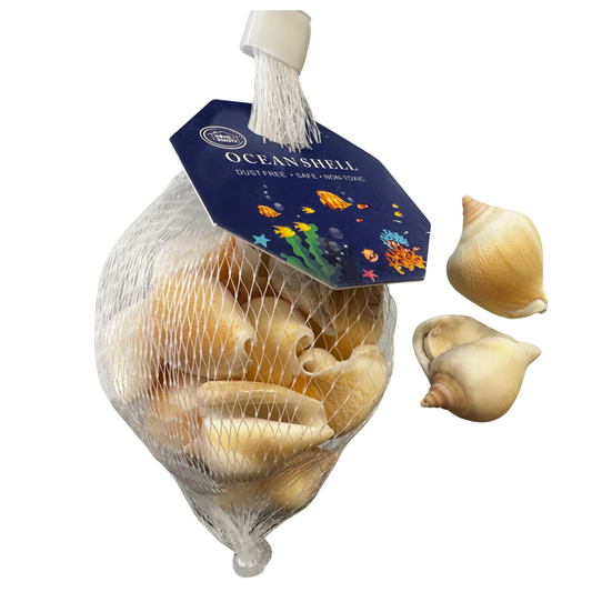 Sea Shells - Conch style