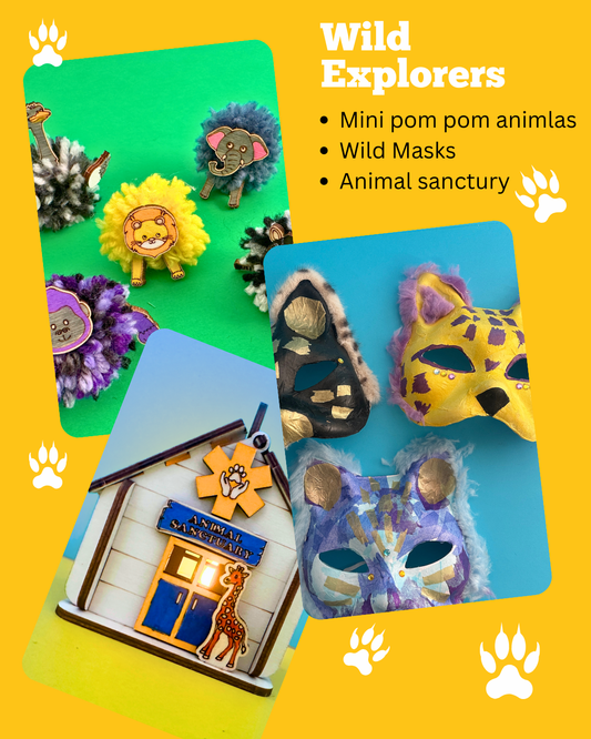 Wild Explorers Craft & Play Discovery Box