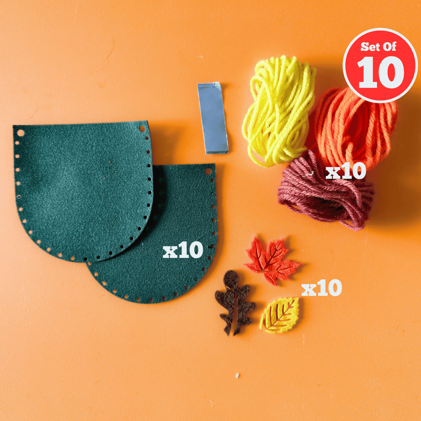 Set of 10 - Forager Pouch