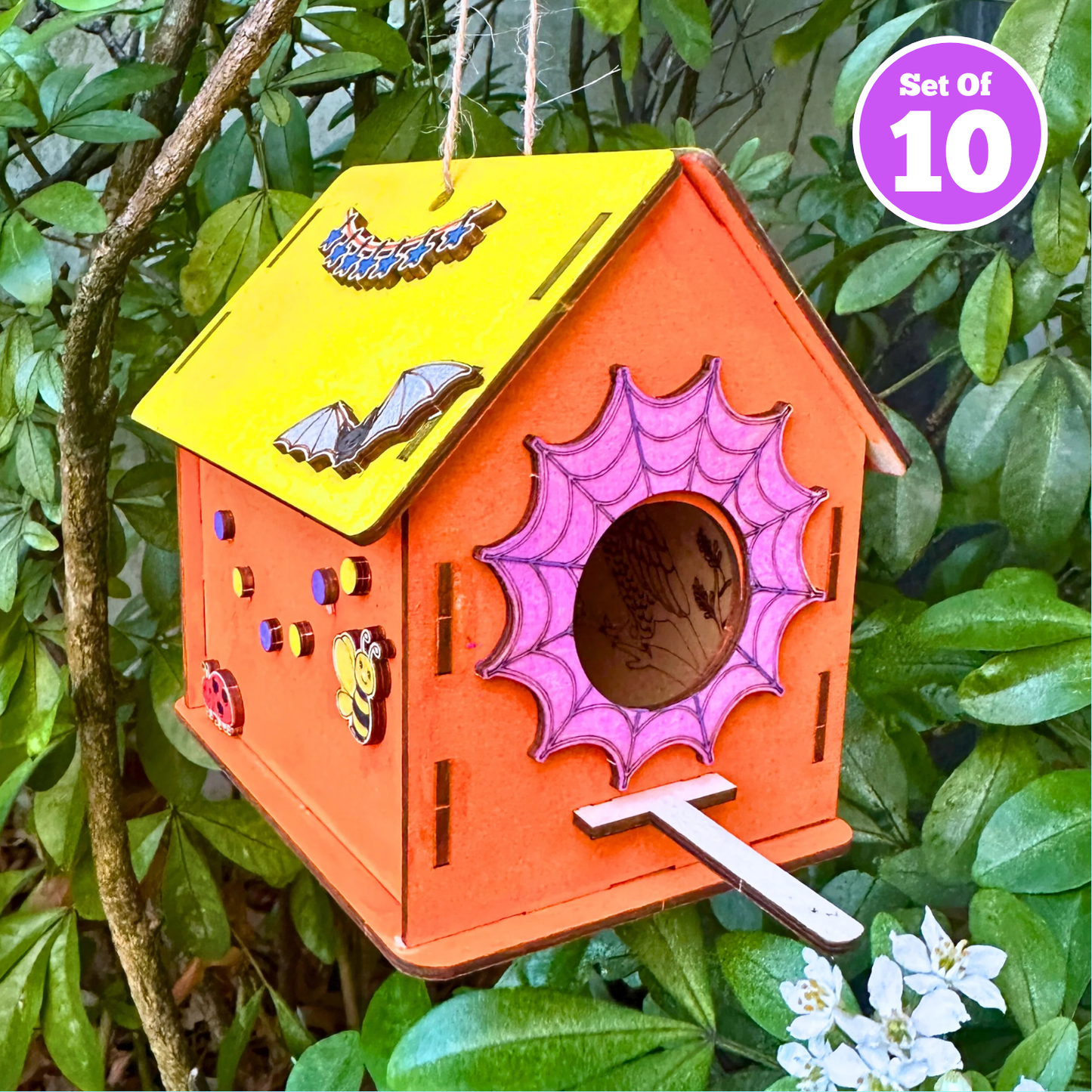 Set of 10 - Spiderweb Bird House