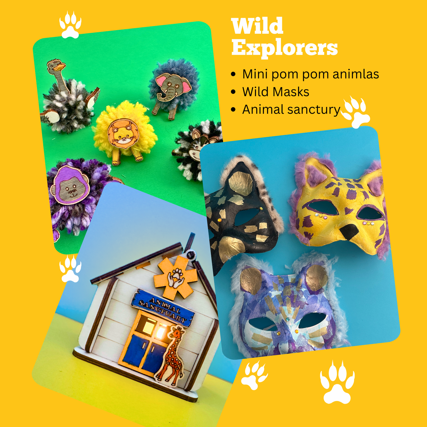Wild Explorers Craft & Play Discovery Box