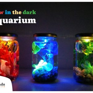 Aquarium Jar