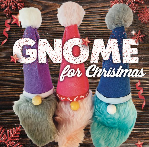 Gnome for christmas