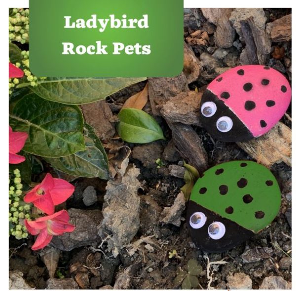 Ladybird Rock pets