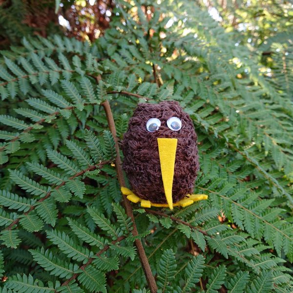 kiwi Bird Craft