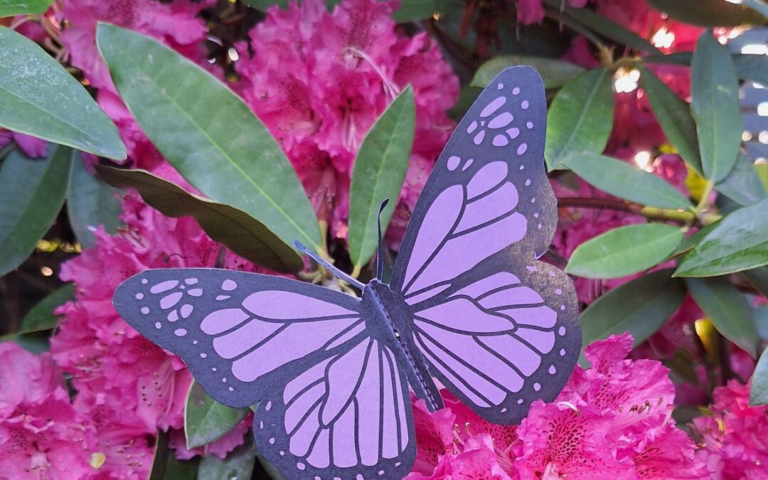 Make a Fluttering Butterfly!