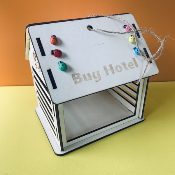 Bug Hotel Craft